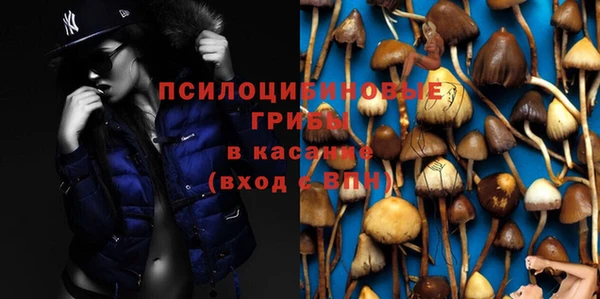 спайс Балабаново