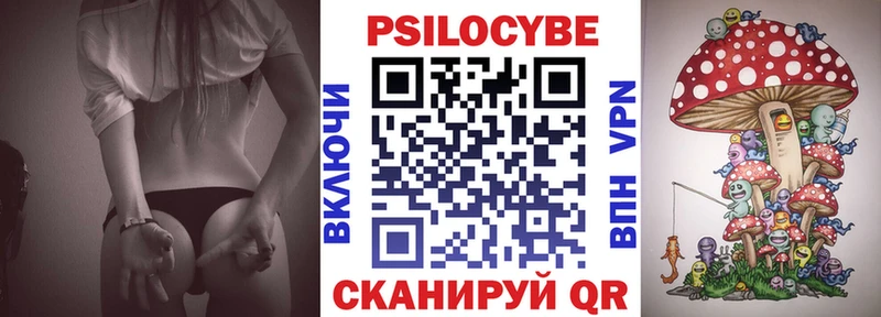 MEGA как войти  что такое   Верея  Галлюциногенные грибы Magic Shrooms 